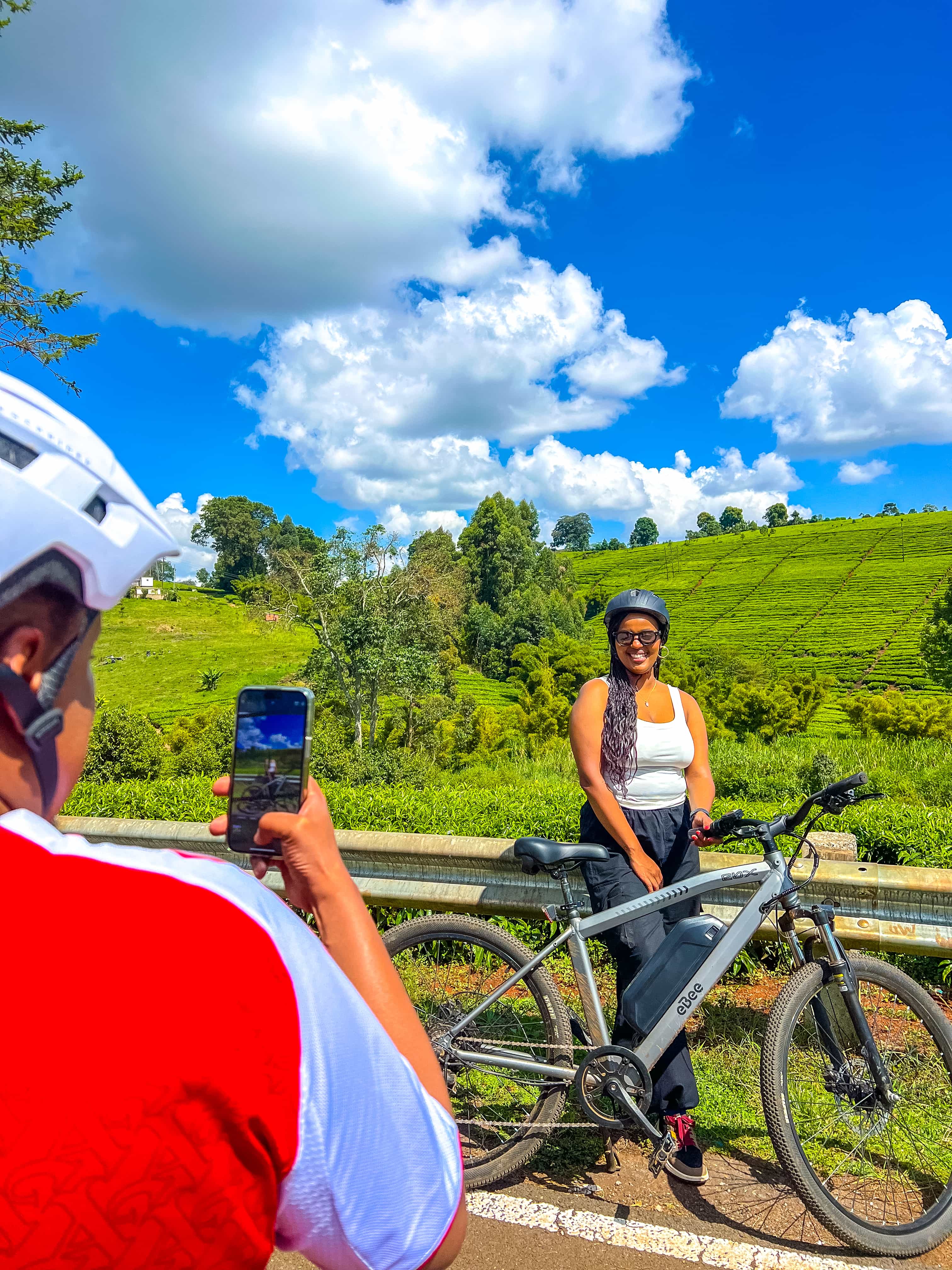 Scenic tea farm view